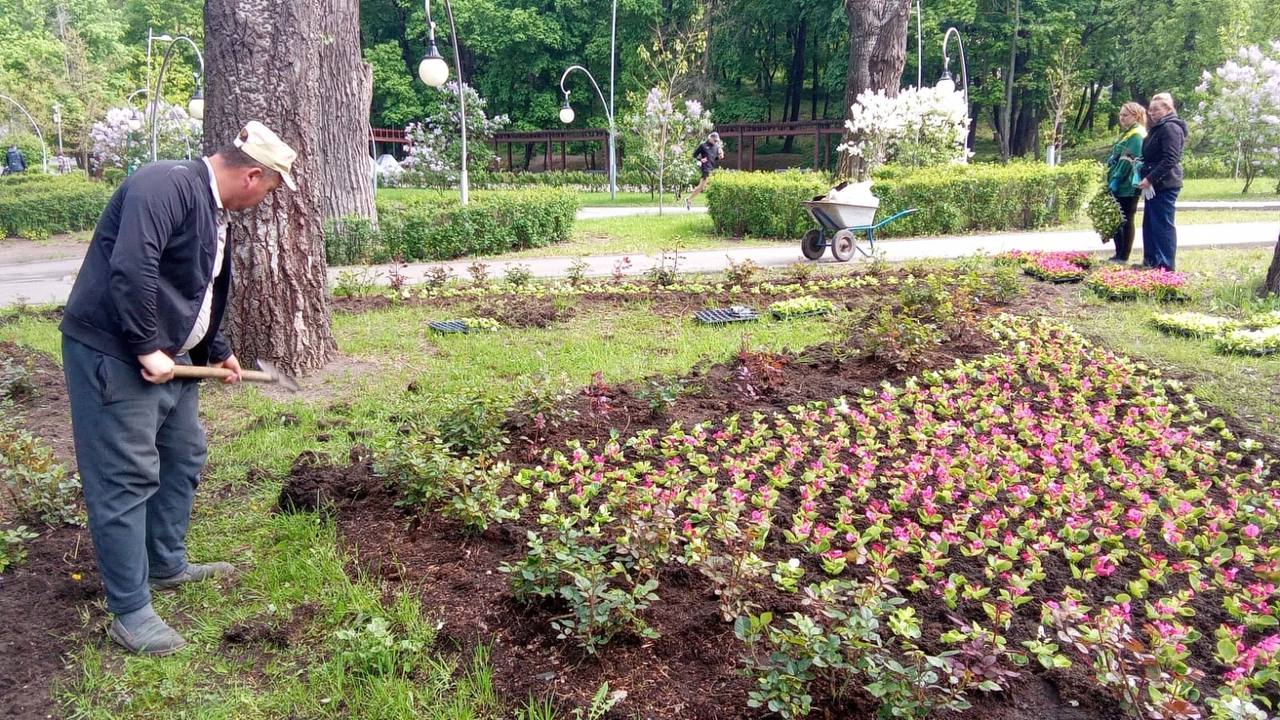 Сотрудники МБУ «ЭкоЦентр» на закрепленных территориях в городских парках проводят работы по высадке однолетних растений на клумбах Создавая комфорт и эстетическое удовольствие, цветы будут радовать горожан и гостей Воронежа в летний период в парках. Управление экологии Подписаться