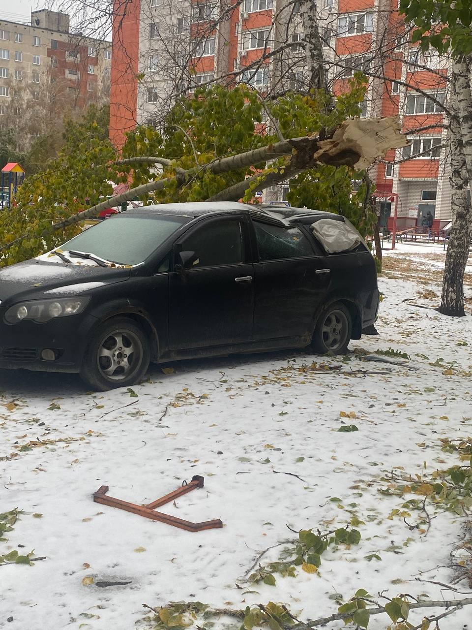 Деревопад в Барнауле  Во дворе дома Солнечная поляна, 21 на машину ветка упала, - поделился Роман.  Упало дерево на машину на конце улица Георгия Исакова 222.