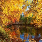 Аватар Телеграм канала: Ефремовка в сети 🍒