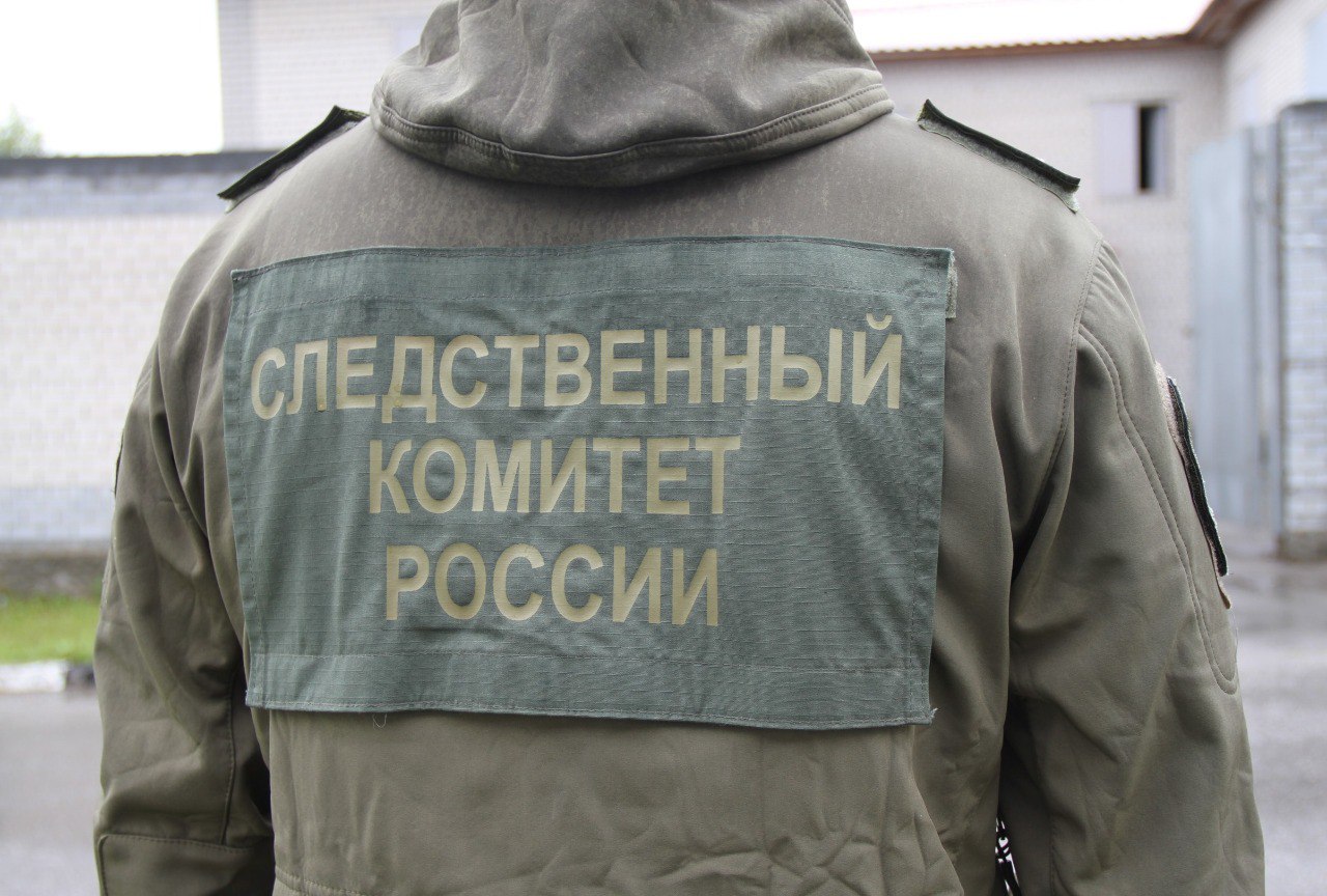 Следователями СК проводится проверка по факту обнаружения тела младенца Железнодорожным межрайонным следственным отделом города Рязань следственного управления СК России по Рязанской области проводится процессуальная проверка по факту обнаружения тела младенца на территории мусороперерабатывающего предприятия города Рязани. Следователями проводится комплекс проверочных мероприятий, направленных на установление всех обстоятельств произошедшего, по результатам проверки будет принято процессуальное решение.