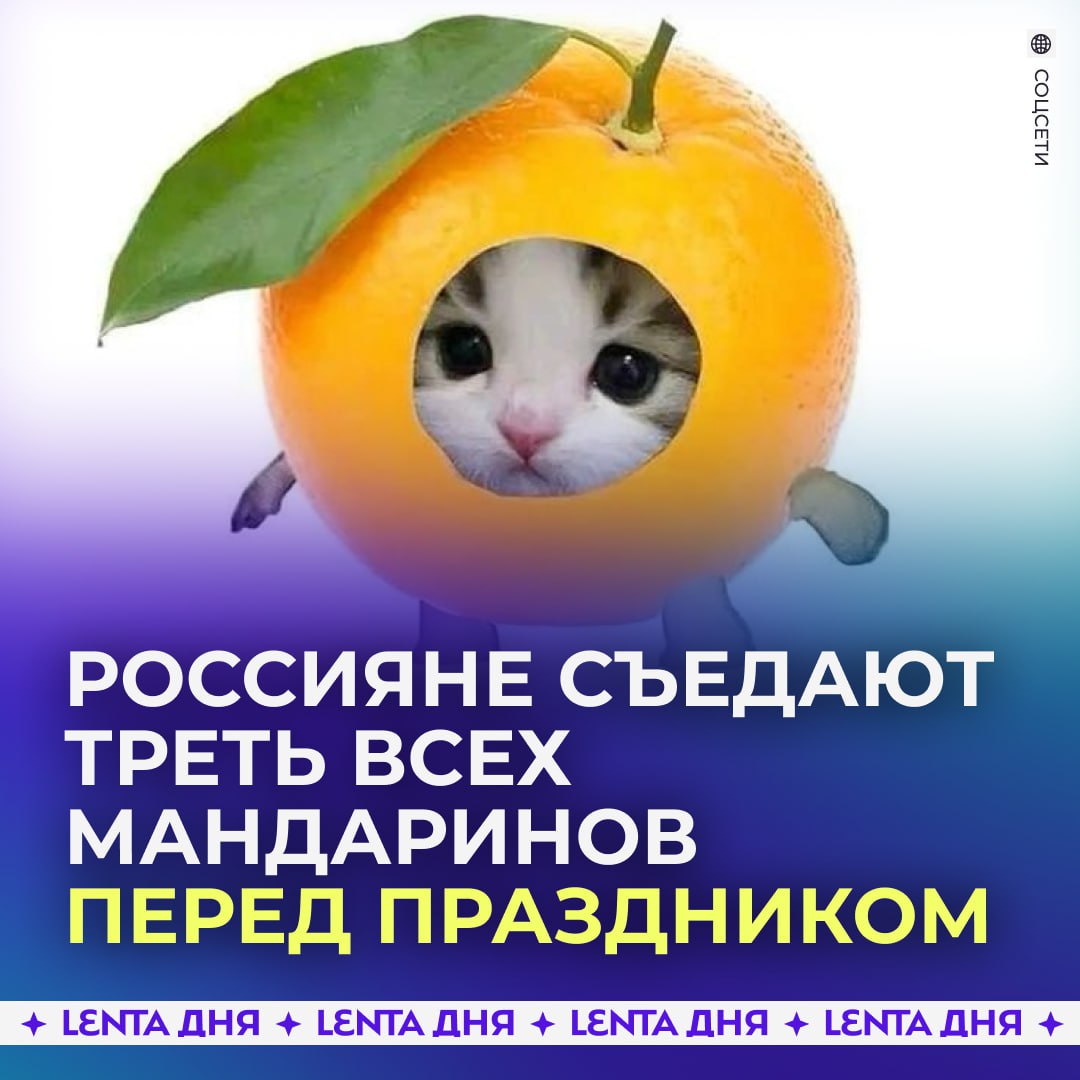 Мандарины снова станут главным новогодним фруктом По оценкам экспертов за 2025 год россияне съедят около миллиона тонн мандаринов Причём примерно треть этого объёма приходится на зиму и предновогодние недели когда спрос на цитрусовые резко растёт В обычное время мандарины составляют около 10 от всего потребления фруктов а основной объём на российский рынок по прежнему поступает из за рубежа А вы уже покупаете мандаринки Подпишись на Ленту дня MAX ТГ Участвуй в розыгрыше