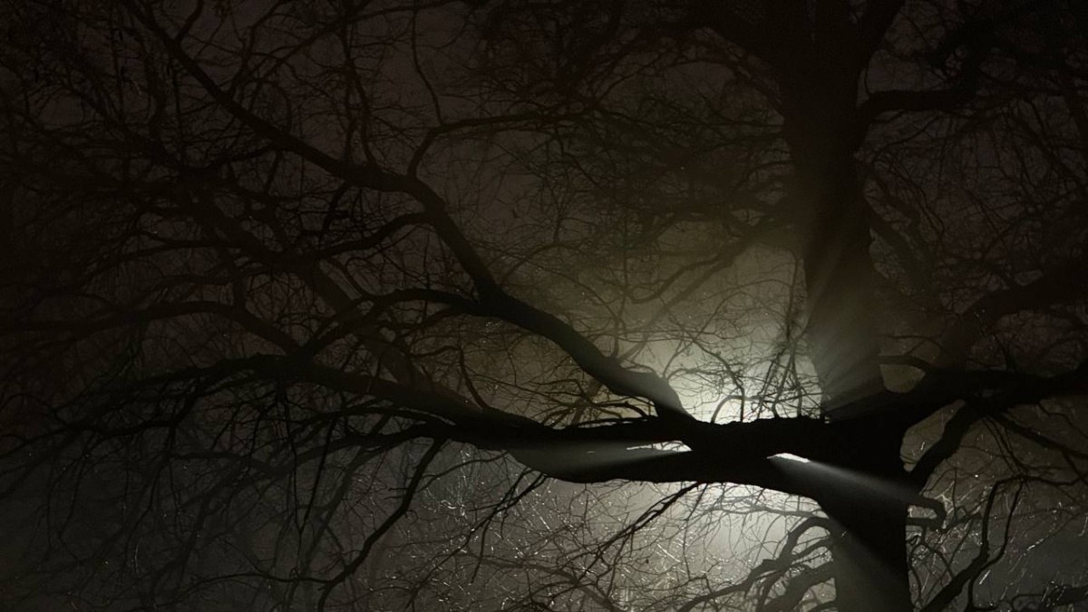 17 декабря в Самарской области грянет новая магнитная буря Первые звоночки затяжного геомагнитного ненастья начнутся уже к вечеру 17 декабря 5 баллов умеренная геомагнитная буря Она быстро стихнет и на несколько дней метеочувствительным можно будет выдохнуть Но магнитные бури вновь вернутся 21 декабря и продлятся вплоть до 26 декабря Если верить долгосрочным прогнозам то к Новому году ожидаются все 6 баллов Во время магнитных бурь метеочувствительные чаще всего страдают от головной боли Также возможны резкие изменения артериального давления головокружение тахикардия и затрудненное дыхание Могут возникнуть проблемы со сном включая бессонницу ГТРК Самара MAX lВК lОК lСАЙТ