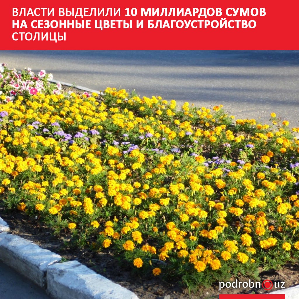 Столичные депутаты решили выделить 10 миллиардов сумов на посадку сезонной цветочной рассады и благоустройство в Ташкенте Деньги поступят из средств перевыполненного плана доходов местного бюджета за первый квартал Каждый район города получит от 80 миллионов сумов до миллиарда с лишним   podrobno uz cat economic vlasti vydelili 10 milliardov sumov na sezonnye tsvety i blagoustroystvo stolitsy Telegram Instagram Facebook Читать на узбекском
