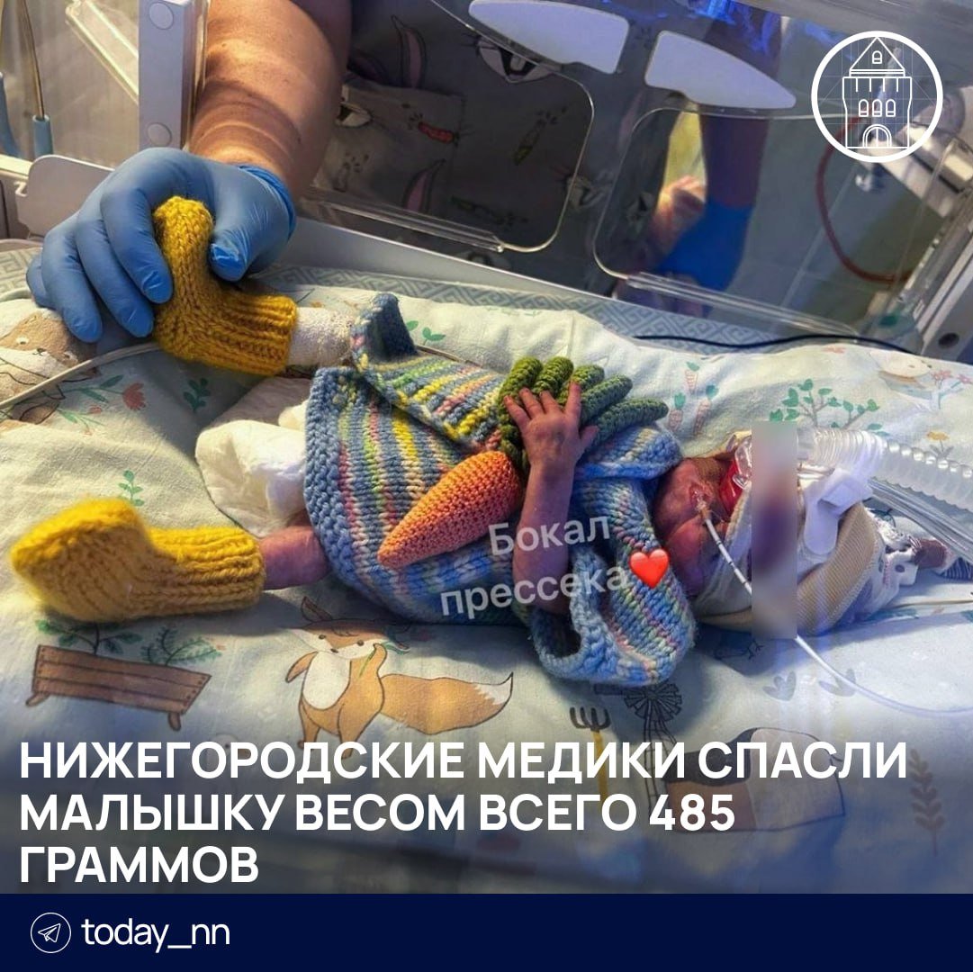 Нижегородские медики спасли малышку весом всего 485 граммов  Полина родилась на 25-й неделе беременности в областном перинатальном центре больницы №40.   26 сентября она попала в отделение реанимации — самостоятельно дышать, питаться и поддерживать температуру тела малышка пока не может.  Сейчас Полина немного окрепла, и ее вес уже 765 граммов. Она готовится сделать свой первый вдох без аппарата ИВЛ.    Подписаться   Реклама   Прислать новость