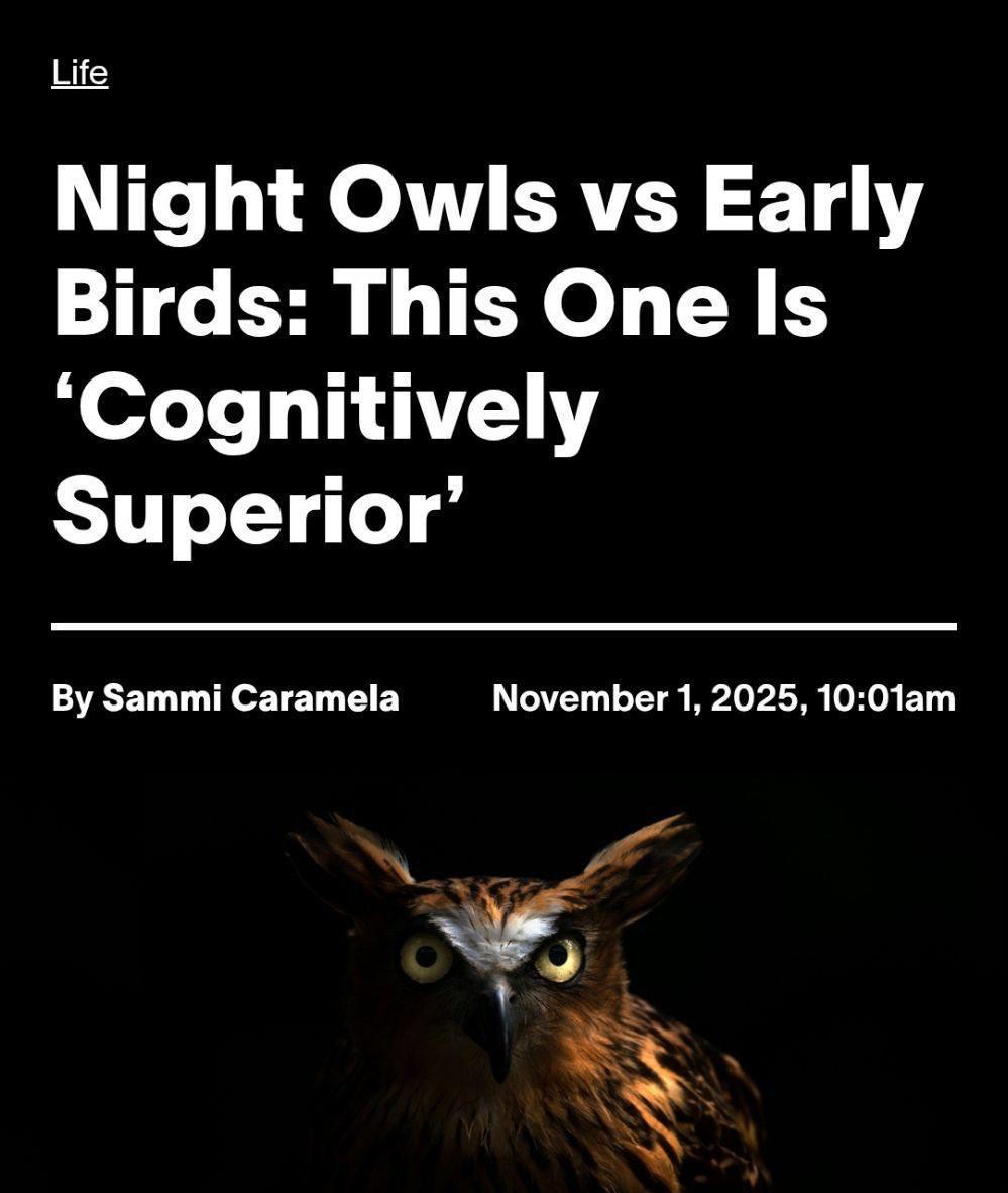 Чем дольше вы спите тем ВЫШЕ ваш IQ и скорость мышления ученые выяснили что совы умнее жаворонков Исследование на 26 тысяч человек показало что совы решают логические задачи аж на 13 5 лучше а также быстрее концентрируются и эффективнее обрабатывают сложную информацию Все потому что мозг работает на других частотах когда человек просыпается позже Совы часто добивают лучших результатов но система заточена под ранние поход в офис звонки и встречи В итоге весь потенциал просто теряется Вы знаете кому отправить trendach