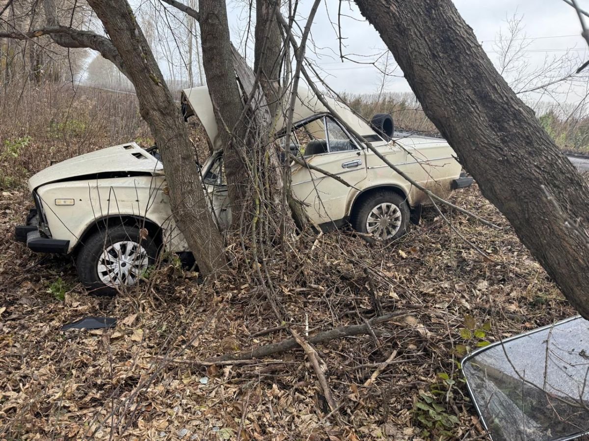 19-летний водитель "Жигули" врезался в дерево под Воронежем     ДТП произошло прошлым днём на 6 километре дороги М-Дон — Малая Приваловка — село Трудовое в Новоусманском районе. Во время движения 19-летний водитель «Жигули» потерял управление, вследствие чего съехал с дороги и влетел в дерево.  ↗  Прислать новость   Подписаться