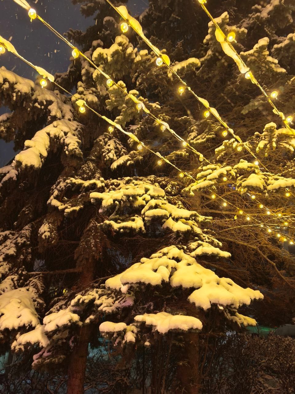 С добрым утром земляки Вот теперь в регион пришла настоящая зима Практически во всех районах области прошёл или продолжает идти снег Как сообщают в Министерстве дорожного хозяйства и транспорта Челябинской области за прошедшие сутки на региональных дорогах работала 131 единица техники В круглосуточном режиме ведется патрульная расчистка и обработка противогололедными материалами Одевайтесь теплее Будьте внимательны и осторожны на дорогах Подписывайтесь на канал Правительства Челябинской области в MAX