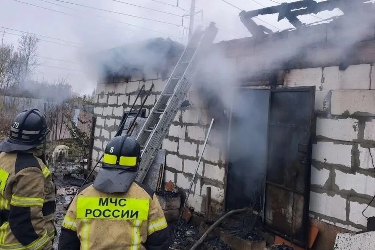 Около 200 собак погибли при пожаре в нижегородском питомнике Там разводили померанских шпицев и чихуахуа Питомник располагался в надворной постройке площадью около 50 квадратных метров Предварительная причина пожара нарушение правил пользования дровяной печью которая отапливала помещение В 5 20 меня разбудили Я побежала дверь открыла а там уже дым И они молчат собачки все задохнулись сказала хозяйка питомника Больше новостей в Daily News VK