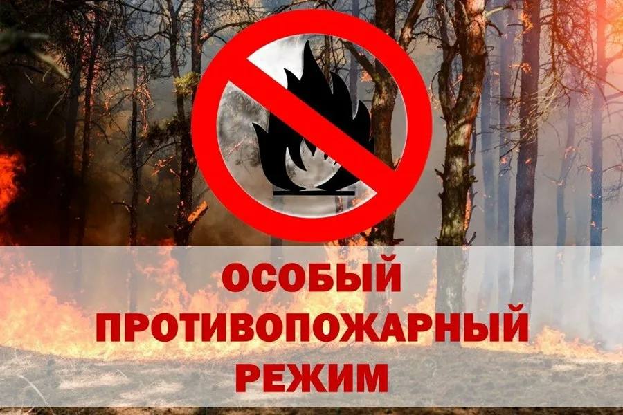 В середине апреля будет введен особый противопожарный режим в регионе.  С 1 апреля планируют объявить противопожарный сезон. Однако не исключается возможность того, что лесные пожары могут начаться значительно раньше из-за малоснежной зимы и самого тёплого за последние 150 лет января.    Подписаться    Прислать новость