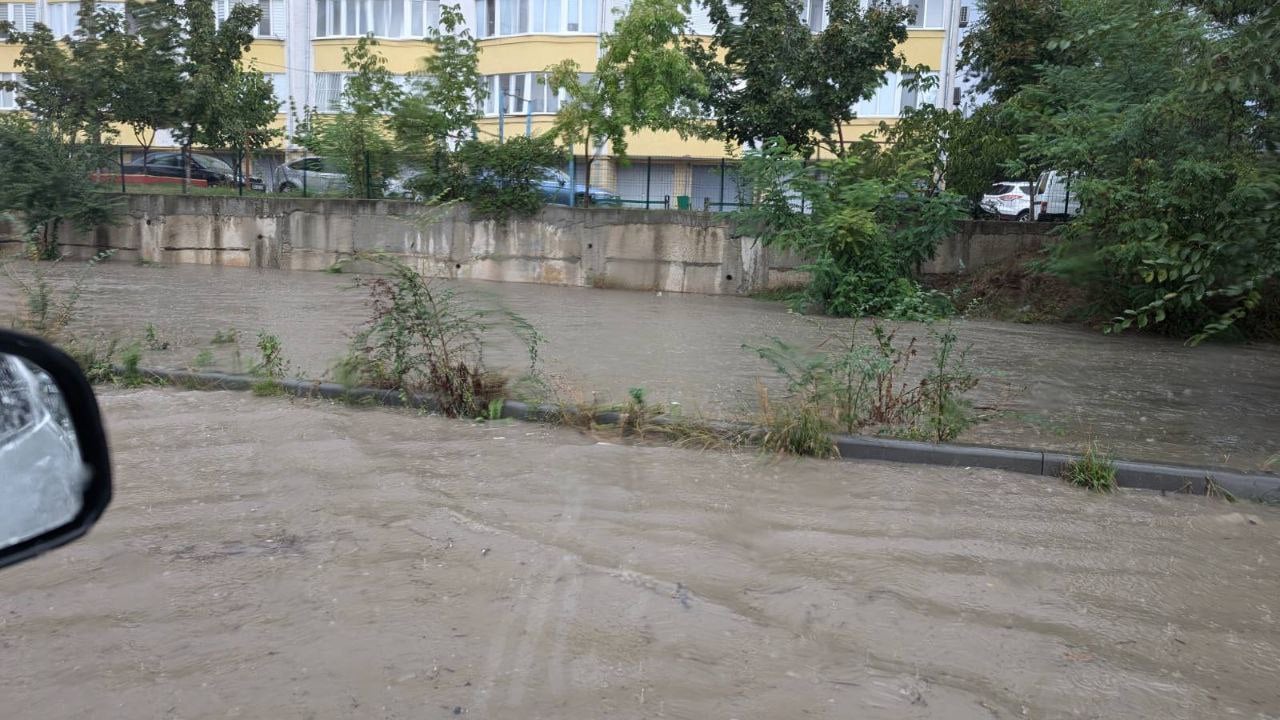 В Кишиневе на затопленной улице Гиочеилор, где из берегов вышла река, заметили семейство уток.