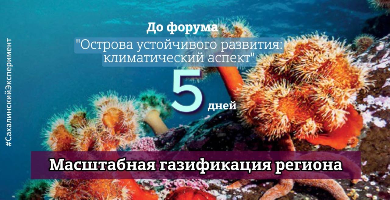 За время реализации климатического эксперимента Сахалинская область совершила качественный скачок в газификации. Газификация области выросла с 1 4 % до 6 4 %‼ Переведены на газ 3 7 муниципальных и 1 8 ведомственных котельных, а также 3 асфальтобетонных завода. Более 5 6 0 0 домохозяйств перешли на газовое отопление. «Зеленым» становится и транспортный сектор: Весь муниципальный транспорт работает на природном газе. Закуплено 3 6 7 газомоторных автобусов, переоборудовано 6 0 0 0 автомобилей. Развивается электротранспорт: 4 2 0 электромобилей, 8 4 0 гибридов, каршеринг и 5 0 0 зарядных портов по области. Энергоэффективность растет: Отремонтированы фасады и крыши 4 1 4 многоквартирных домов. Установлено 6 тыс. энергоэффективных светильников. Внедрено 5 4 3 плана энергосбережения в организациях. #ОстроваРазвития #СахалинскийЭксперимент