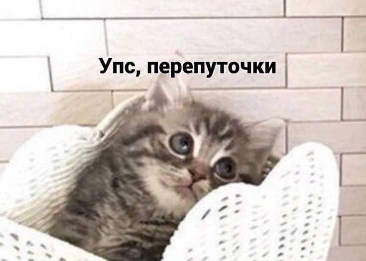 В Амурской области девушка случайно выбросила 6 млн рублей, которые достались ей по наследству. Оказалось, что отец собирал для дочери деньги в упаковках из-под муки, пока не умер. Туда она не подумала заглянуть и избавилась от «мусора». Кэш в итоге нашли на помойке соседи — на них они купили себе дом и кучу алкоголя, а также походили в сауну. В полиции теперь думают, что теперь со всем этим делать. Счастливые обладатели клада уже попытались обмануть правоохранителей — скрыли покупку дома и заявили, якобы деньги у них украли какие-то подростки.