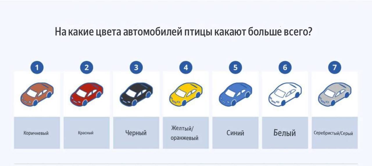 Птицы чаще всего гадят на коричневые красные и черные автомобили Ученые провели целое исследование чтобы это выяснить Более половины опрошенных признались что птицы метят их автомобили пометом более одного раза в день А среди брендов лидеры по количеству попаданий Ram Jeep Chevrolet и Nissan