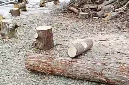 Вандалы в Невинномысске разрушили место для крещенских купаний Как рассказал глава города Михаил Миненков неизвестные сломали и разбили бревна и спилы которые специально установили у костра чтобы люди могли присесть и согреться после омовения Мало того эти бревна просто побросали прямо в купели Мы ничего не знаем об этих людях ни сколько им лет ни чем они руководствовались Но это по настоящему удручает Ведь это не просто порча это полное отсутствие всякого уважения к труду рабочих к чувствам верующих и к своему родному городу Подобное за гранью моего понимания отметил Михаил Миненков Специалисты по благоустройству города уже работают на месте все разрушения будут оперативно устранены купели очищены а зоны отдыха восстановлены На дежурство заступают дружинники и казаки ГТРК Ставрополье Читайте нас в MAX