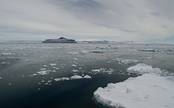 Пушков высказался о стремлении Трампа завладеть Гренландией   globalmsk ru news id 78486 Американский президент Дональд Трамп своим стремлением завладеть островом Гренландия подогрел интерес к Арктике со стороны всего международного сообщества Теперь даже страны далекие от арктических просторов считают приоритетной задачей получение контроля хотя бы над небольшой территорией за полярным кругом Глава комиссии Совета Федерации по информационной политике Алексей Пушков подробно объяснил журналистам причину по которой президент США Дональд Трамп хочет получить тотальный контроль над Гренландией По словам Пушкова недавние исследования показали что под огромными толщами льда на территории острова были найдены месторождения редкоземельных металлов которые сейчас пользуются огромным спросом поскольку участвуют в создании различной электроники Через несколько десятилетий на фоне глобального потепления технологии их добычи в Гренландии сильно упростятся что сделает США одним из лидеров по добыч