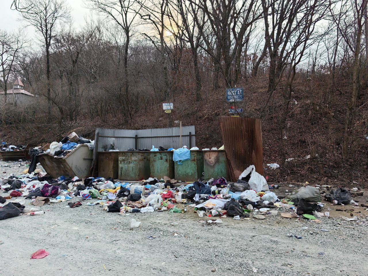 За новогодние праздники в Приморье вывезли 5815 тонн отходов  В ряде муниципалитетов, помимо основных мусоровозов, привлекали дополнительные машины, а во Владивостоке увеличили количество суточных рейсов по вывозу мусора.  На фото – Андреевка. Летом говорили, что это мусор от туристов. А теперь, интересно, от кого?