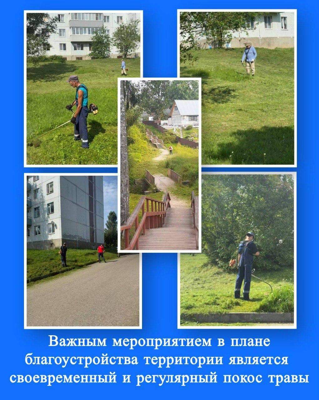 Глава Струго-Красненского округа в свой отпуск взял в руки триммер и вышел на субботник с жителями Глава Струго-Красненского округа Александр Волков во время отпуска решил не отдыхать, а присоединился к благоустройству территории на улице Мира. Вооружившись триммером, он вместе с местными жителями вышел на покос травы. По словам главы округа, штатные работники справляются с объемом работ, и потому он решил помочь лично, одновременно показав пример активного участия в жизни поселка. «Встал утром сам, умылся, прибери свою планету», — процитировал глава округа слова из «Маленького принца». Александр Волков поблагодарил всех неравнодушных граждан, которые откликнулись и вышли на совместную работу. Он подчеркнул, что именно благодаря таким инициативам населённые пункты становятся чище и комфортнее для жизни. СОСЕДИ60 ДАТЬ БУСТ Отправить нам новость