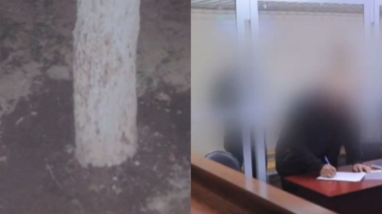 В Самарканде вынесли приговор мужчинам убившим младшего брата Подсудимые привязали к дереву и избили гражданина зависимого от азартных игр   repost uz mol pitalis vrazumit Подписывайтесь на Repost