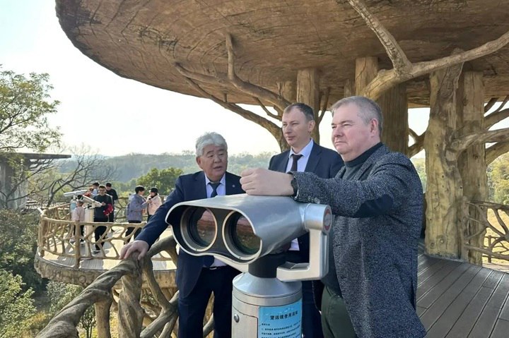 Якутская делегация ознакомилась с условиями зимовки стерхов в Китае Якутская делегация во главе с министром экологии Евгением Перфильевым побывала в Китае чтобы воочию увидеть где зимуют легендарные стерхи Ключевым пунктом визита стало озеро Поянху крупнейшая в Китае станция для перелетных птиц куда каждый год прилетают и якутские белые журавли В информационном центре при озере якутские специалисты познакомились с передовыми технологиями мониторинга птиц и охраны водно болотных угодий Это сотрудничество позволяет ученым двух стран совместно отслеживать миграционные пути и лучше защищать редкие виды Делегация также посетила озеро Чанхучи недалеко от Шанхая чтобы изучить местный опыт По итогам визита будут выработаны конкретные шаги по укреплению взаимодействия для сохранения популяции стерха чья судьба неразрывно связывает природу Якутии и Китая Фото минэкологии Якутии