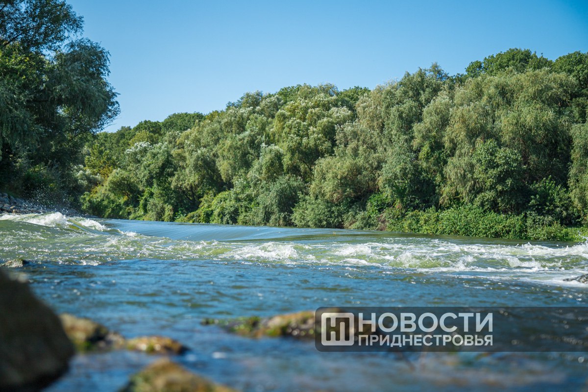 Больше 2 тонн сеголеток карпа, карася, белого амура, белого и пестрого толстолобиков выпустили в Турунчук. Минсельхозприроды проводит осенний этап зарыбления.