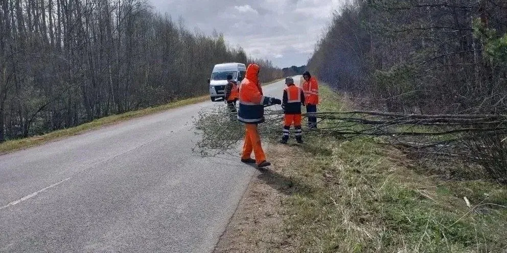 Дорожные службы Новгородской области за двое суток убрали свыше 450 единиц аварийной растительности оперативно ликвидировав последствия ураганного ветра