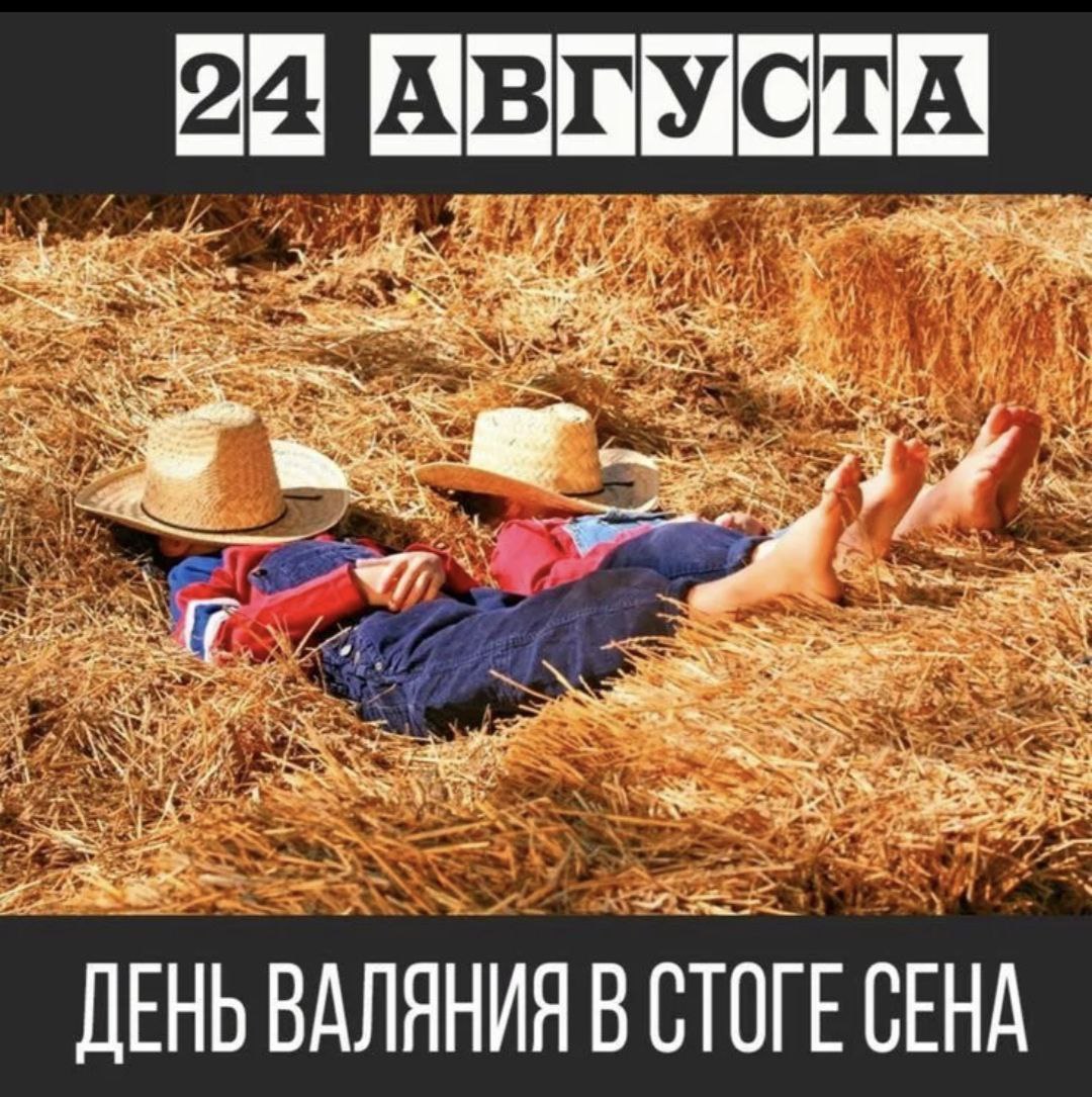 День валяния в стоге сена Один из неофициальных праздников в России Он появился в России как дань уважения традициям предков К 24 августа на Руси традиционно заканчивался один из этапов сбора урожая подходила к концу пора сенокосов Последние теплые августовские деньки это отличная возможность выбраться за город устроить пикник и поваляться в стоге сена С добрым утром