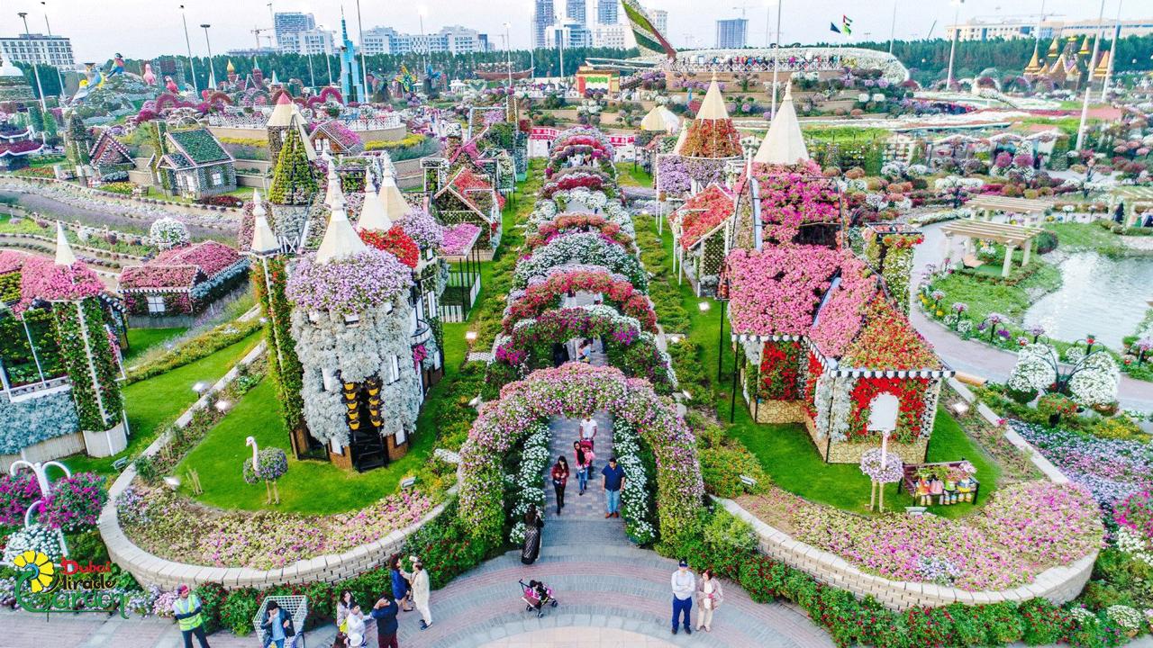 Dubai Miracle Garden объявил дату открытия 14 го сезона После летнего перерыва сад примет первых гостей 29 сентября В парке площадью 72 000 кв м будут цвести более 50 млн растений Гостей ждут цветочные арки замки гигантские фигуры и лайнер Emirates A380 из живых цветов Цены за билеты  100 для взрослых  85 для детей Для жителей ОАЭ предусмотрены скидки при предъявлении Emirates ID Dubai Miracle Garden Al Barsha South 3 Пн Пт 9 00 21 00 Сб Вс 9 00 23 00