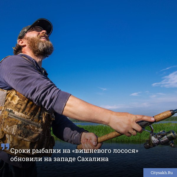 На западном побережье Сахалина введены изменения в сроки любительского лова симы, или «вишневого лосося», из-за задержки ее подхода в реки. Рыбаки-любители могут ловить симу до 20 июня.