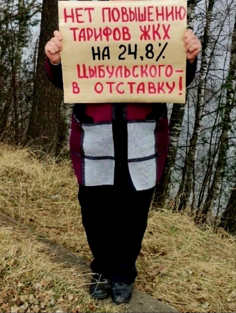 Смелые и даже отважные жители Красноборска провели пикеты против повышения коммунальных платежей в Архангельской области -Нет повышению тарифов ЖКХ на 24,8% Цыбульского — в отставку - Доход Цыбульского — 2 млн в месяц, а минимальный доход жителя — 17 ты₽, — гласят надписи на плакатах, которые показали друг другу оба смелых и отважных красноборца.