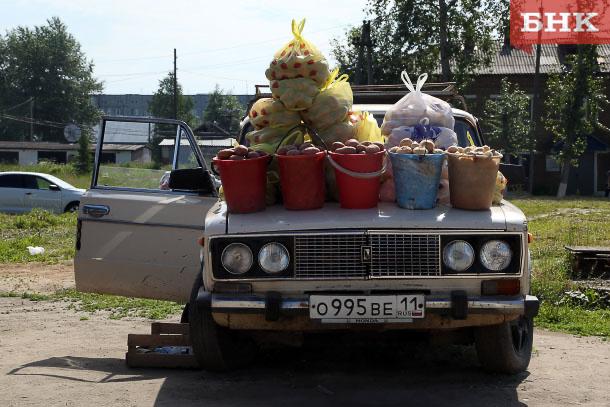 Россияне перешли на хлеб и макароны после резкого подорожания картофеля  В магазинах Коми средняя цена за килограмм картофеля сейчас составляет 113 рублей.