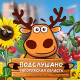 Аватар Телеграм канала: Подслушано Запорожская область