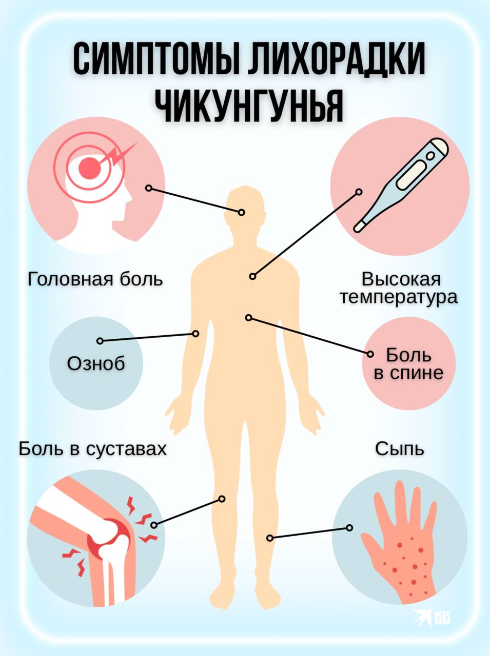 Симптомы нового китайского вируса схожи с ОРВИ  Отличия лишь в высыпаниях на теле и очень высокой температуре. Собрали для вас  все симптомы в карточку, чтобы распознать болезнь на начальных стадиях.   Сейчас на территории Китая уже более 6 тысяч зараженных. Роспотребнадзор усилил контроль приезжающих на границе с Поднебесной.    Подпишись на «КП — Новосибирск»