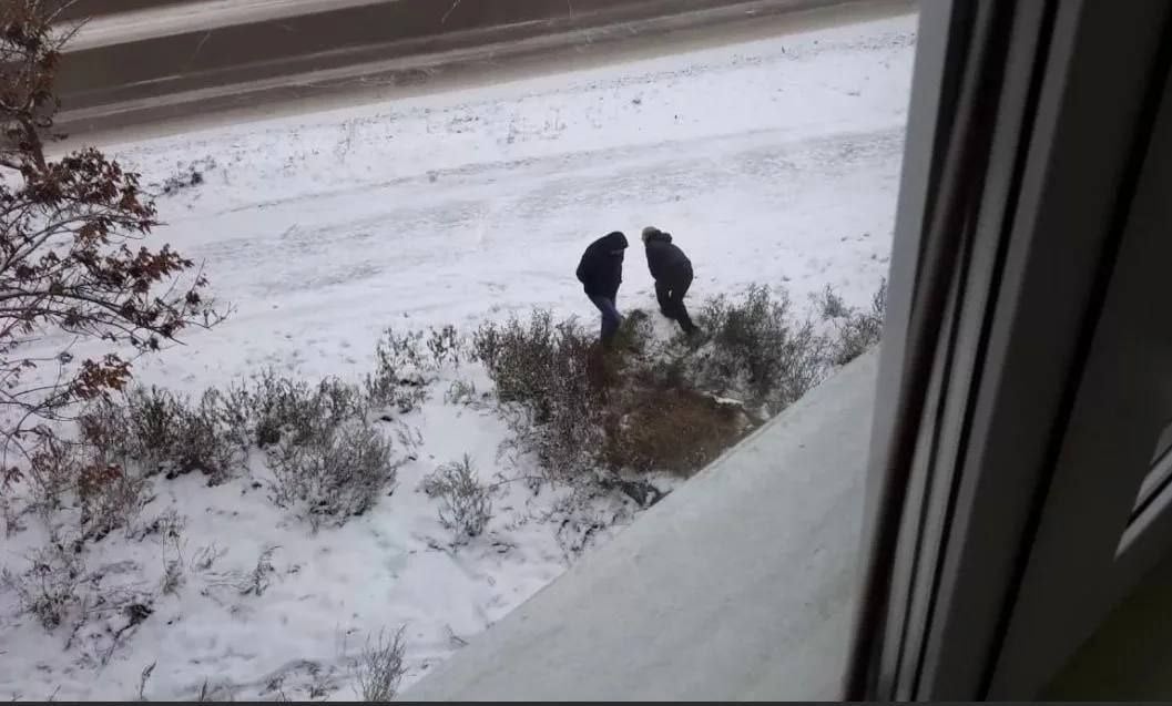 В ЧАСТНОМ СЕКТОРЕ ХАБАРОВСКА ПОЙМАЛИ ЗАКЛАДЧИКОВ   В Хабаровске в частном секторе в переулке Специалистов полицейские, патрулировавшие район, заметили пару, которая попыталась скрыться в тёмном переулке.  Их задержали. Выяснилось, что 27-летний житель села Дружба отбывал наказания за угон и кражу. Его 32-летняя спутница - за оборот наркотиков и кражу. По их словам, в переулок они пришли в гости, но к кому, сказать не смогли. В пуховике женщины обнаружили свёрток и 4 шприца. В куртке мужчины - 15 закладок. Общая масса изъятого наркотика - 2,54 грамма. Задержанные рассказали, что употребляют наркотики и "трудоустроились" закладчиками через мессенджер.   Возбуждено уголовное дело, пара находится в изоляторе временного содержания до избрания меры пресечения судом.   Подписаться     Прислать Новость