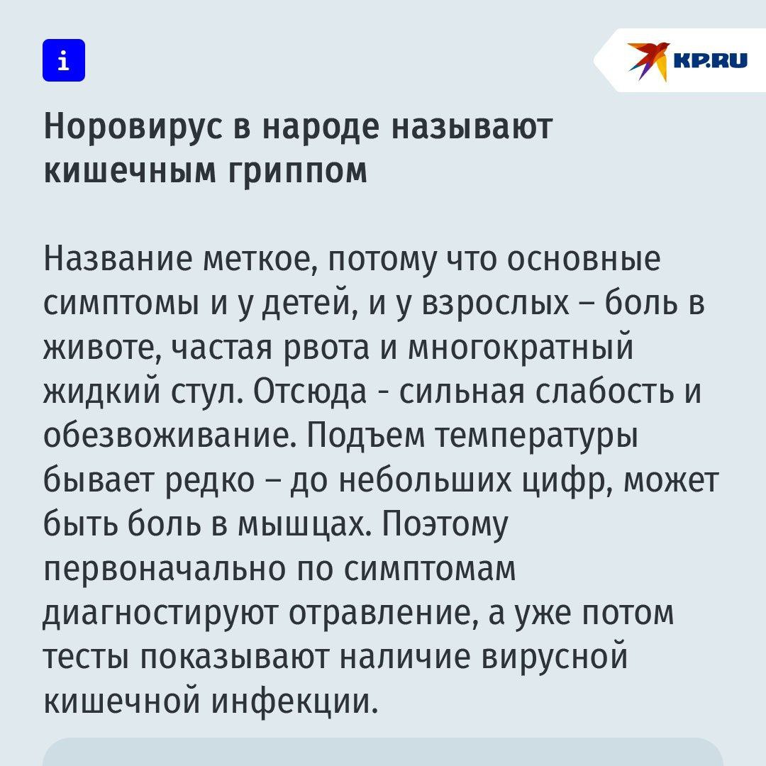 Инфекция парализует школы и санатории в России: что нужно знать о вспышке норовируса и чем он опасен  13 января вспышка произошла в школе в Оренбурге, 17 числа работу приостановила школа в Саратовской области. В это же время вспышка норовируса сразила 33 взрослых человека в санатории Красноярского края. В обеих школах и санатории был выявлен норовирус II типа. Считается, что второй вариант чаще вызывает острую инфекцию у взрослых людей.  Симптомы очень похожи на ротавирусную инфекцию, да и передается норовирус так же – через грязные руки, зараженную пищу, воду. Вирусы относятся к разным семействам, но это не влияет на симптоматику. Только ротавирус поражает чаще маленьких детей, взрослые к нему менее чувствительны. А норовирус не жалеет никого. И если от ротавирусной инфекции есть прививка  ее делают малышам , то от норовируса такой профилактики, увы, нет. Как протекает болезнь и как ее лечить - в наших карточках       Подписаться     Прислать Новость