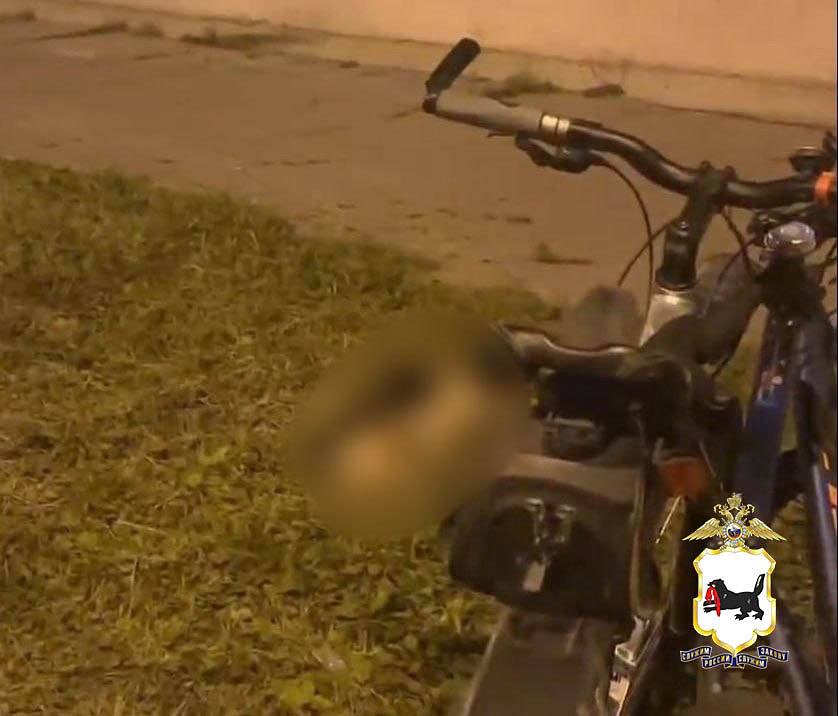 В Ангарске суд вынес приговор в отношении мужчины сбросившего собаку с окна многоквартирного дома Уголовное дело расследовано дознавателем Управления МВД России по Ангарскому городскому округу В ходе расследования установлено что в августе 2024 года житель города нефтехимиков находясь в квартире расположенной в 211 квартале сбросил своего питомца с 4 этажа Свои действия он мотивировал неприязненным отношением к животному из за ненадлежащего поведения Тело домашнего питомца обнаружили прохожие которые и сообщили о произошедшем в дежурную часть Проанализировав свидетельские показания полицейские оперативно установили ранее судимого подозреваемого Мировой суд по городу Ангарску и Ангарскому району рассмотрев собранные дознавателем доказательства признал обвиняемого виновным в совершении преступления предусмотренного частью 1 статьи 245 УК РФ С учетом мнения прокурора 27 летнему мужчине назначено наказание в виде обязательных работ сроком на 240 часов