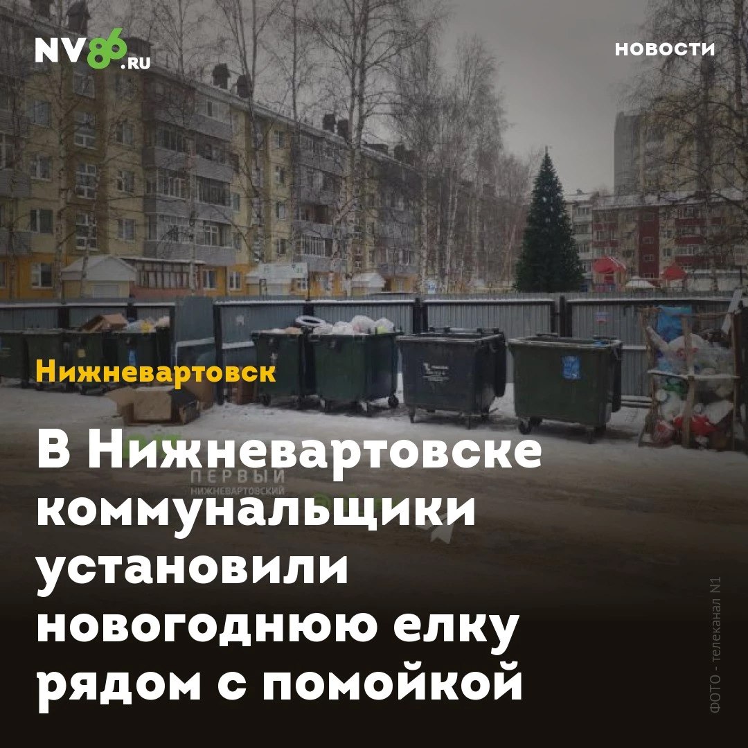 В Нижневартовске коммунальщики установили новогоднюю елку рядом с помойкой  Жители Нижневартовска  ХМАО  пожаловались на елку, которую установили возле помойки. Вартовчане считают, что управляющая компания игнорирует их жалобы.  Жители 14 микрорайона обратились на телеканал N1 с просьбой придать огласке их ситуацию. Каждый год управляющая компания «Ренако-плюс» устанавливает в одном из дворов новогоднюю елку. Но только рядом с мусорной площадкой. Жильцы утверждают, что коммунальщики игнорируют их замечания. И в этом году снова поставили елку рядом с контейнерами.  «Вокруг полно места, просили в прошлом году перенести елку, пообещали что сделают в этом году. Настал год – елка снова у помойки»,– пишут вартовчане.    • vk.com/nv86ru • ok.ru/nv86.ru