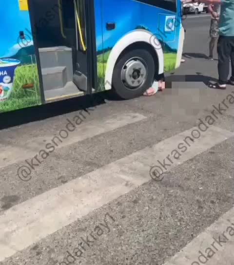 ДТП в Краснодаре: автобус наехал на женщину на пешеходном переходе