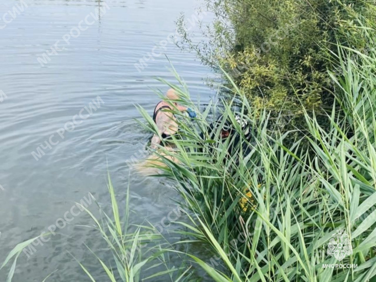 В Почепском районе в местном водоеме утонул мужчина  Сегодня из местного озера вблизи села Сетолово Почепского района водолазы ОГВ ПСО ГКУ "БПСЦ" подняли тело 52-летнего мужчины. Обстоятельства и причина гибели устанавливаются.    Уважаемые жители Брянской области! МЧС России ещё раз напоминает:    не купайся в неизвестных местах;   не купайся в вечернее и ночное время;   не заплывай далеко, рассчитывай свои силы.    Если вы стали свидетелем происшествия на воде и необходима помощь спасателей, незамедлительно звоните по телефонам "1  0  1  " или "1  1  2  ".  #оперативная_информация #МЧСпоБрянскойОбласти    МЧС Брянской области в ТГ   ГУ МЧС России по Брянской области в ВК   МЧС Брянской области в ОК