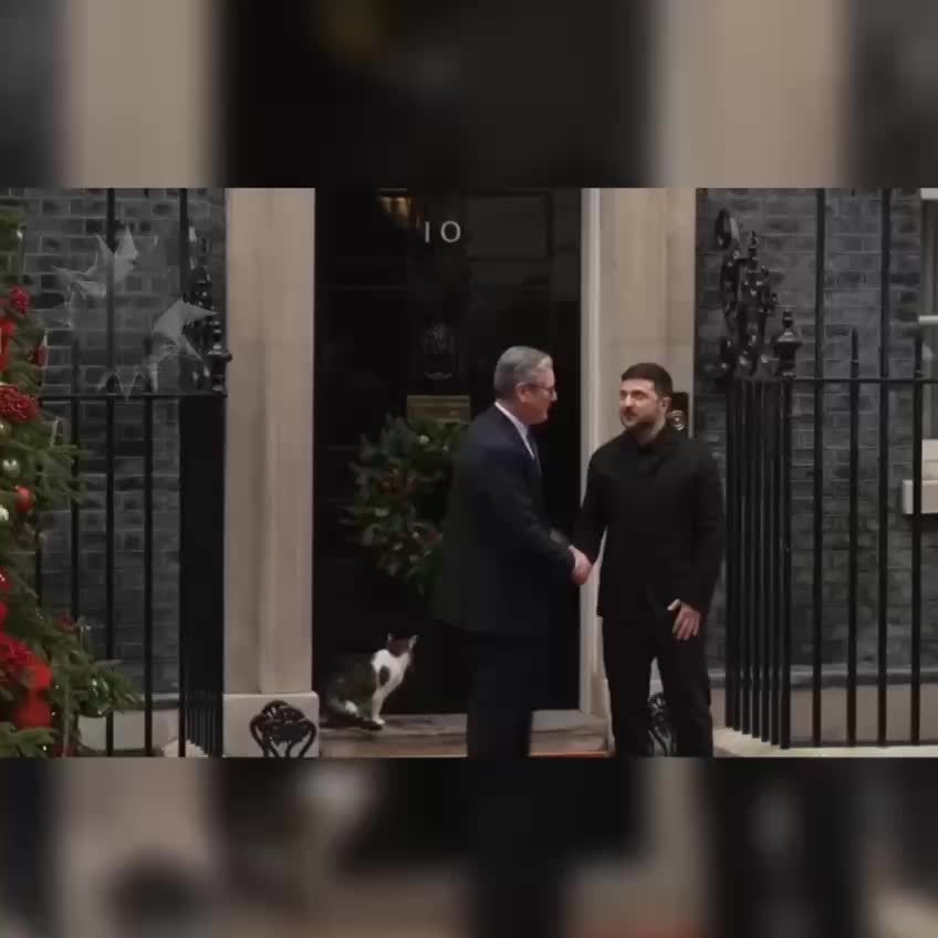 Кот Ларри вновь избегает встречи с Зеленским в Даунинг-стрит