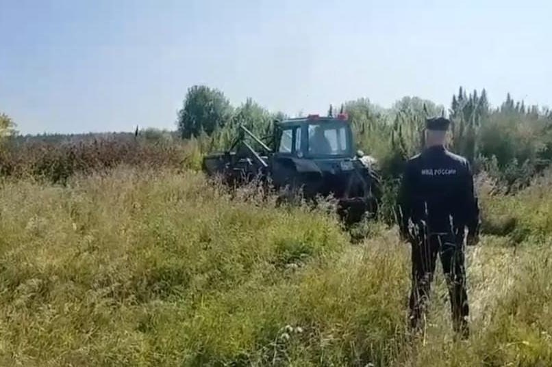 На территории заброшенной фермы в селе Клевакинское под Режом полицейские обнаружили и ликвидировали поле дикорастущей конопли.   Как сообщил руководитель пресс-службы свердловского главка МВД Валерий Горелых, в ходе профилактического мероприятия под условным названием «Мак 2024» по подозрению в причастности к незаконному обороту наркотических веществ задержаны два местных жителя 1992 и 1981 годов рождения.   «При их личном досмотре найдены вещдоки, подтверждающие, что на поле с коноплей они оказались не в качестве туристов. В ходе допроса мужчины пояснили сыщикам, что они собирали дурман для личного пользования. Любители опасного зелья официально нигде не работают, ранее уже имели судимости по ст. 158 и 134 УК РФ. В настоящее время находятся в разводе с супругами, имеют несовершеннолетних детей. По данному факту следственным отделом ОМВД России «Режевской» возбуждено уголовное дело по признакам состава преступления, предусмотренного ч. 2 ст. 228 УК РФ. При помощи трактора оперуполномоченные угрозыска «поле чудес» уничтожили», — отметил полковник Горелых.   : В.Н. Горелых.