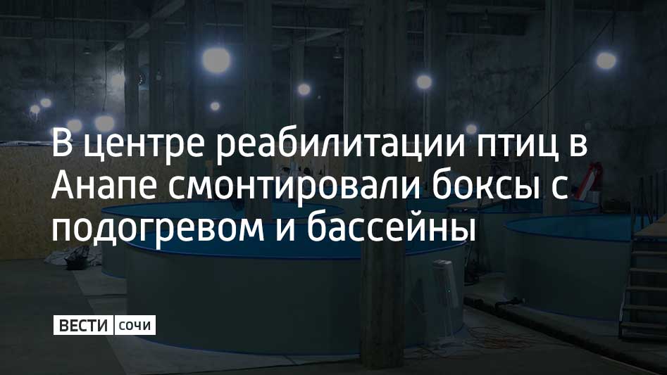 10 закрытых боксов появились в реабилитационном центре в анапском селе Витязево. Внутри каждого поддерживается особый микроклимат, рекомендованный орнитологами, сообщили в оперативном штабе Краснодарского края.  В боксах установили рециркуляторы, инфракрасные лампы, обогреватели и датчики температуры. Воздух и песок подогреваются.  Также в центре смонтировали шесть бассейнов, чтобы пострадавшие от разлива мазута птицы могли привыкнуть к воде, восстановить навыки плавания и охоты. Бассейны пока пустуют. В одном из них содержат мальков для кормления птиц.