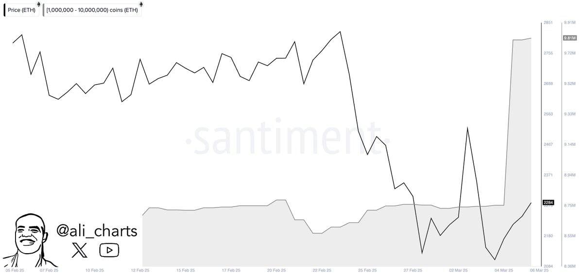 Согласно данным Santiment, в течение последних 48 часов киты приобрели 1,10 миллиона ETH.    Торгуй с умом на бирже - Bitget