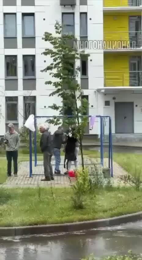 Инцидент с забоем барана на детской площадке в Троицке вызывает обеспокоенность местных жителей