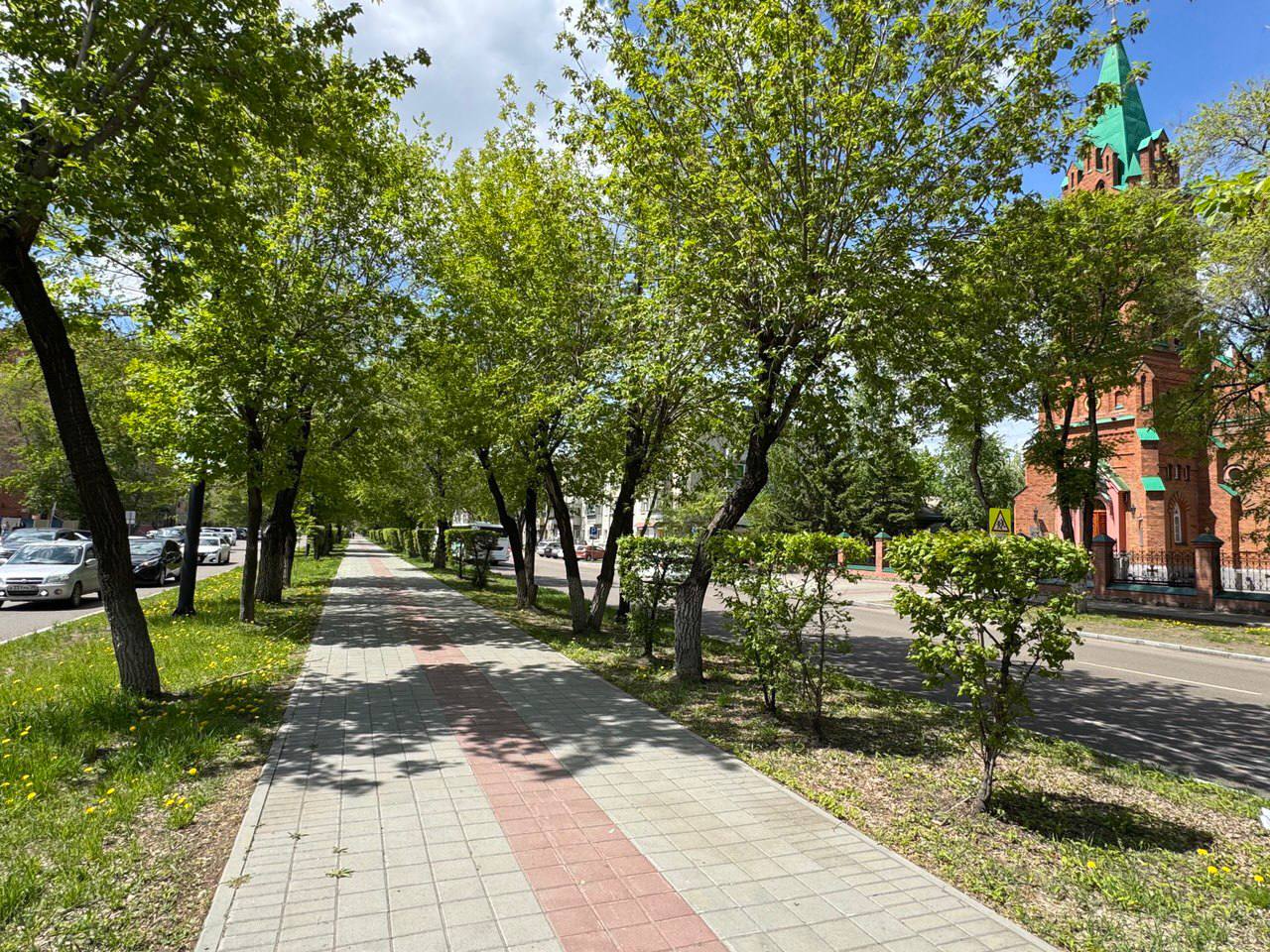 В Благовещенске установилась аномальная жара. Синоптики прогнозируют повышение температуры до +42°С. Мэр Олег Имамеев призвал жителей соблюдать правила безопасности в такую погоду.