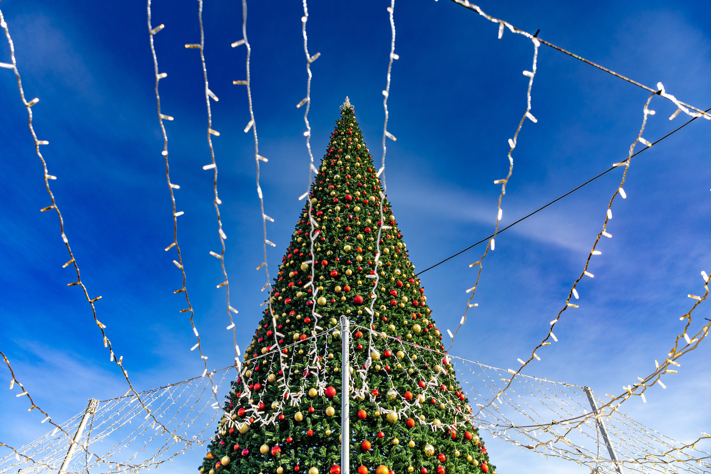 Владивосток в ожидании чуда Город у моря уже начинает превращаться в настоящую новогоднюю сказку На улицах появляются первые гирлянды световые фигуры и украшенные ели а на центральной площади вовсю идет строительство большого новогоднего городка с новой концепцией Как в детстве В этом году праздничные локации появятся сразу в десятках районов а 20 метровая главная ёлка уже встречает горожан на площади Как преобразится Владивосток читайте в нашем материале на сайте   ГАЗЕТА ВЛАДИВОСТОК