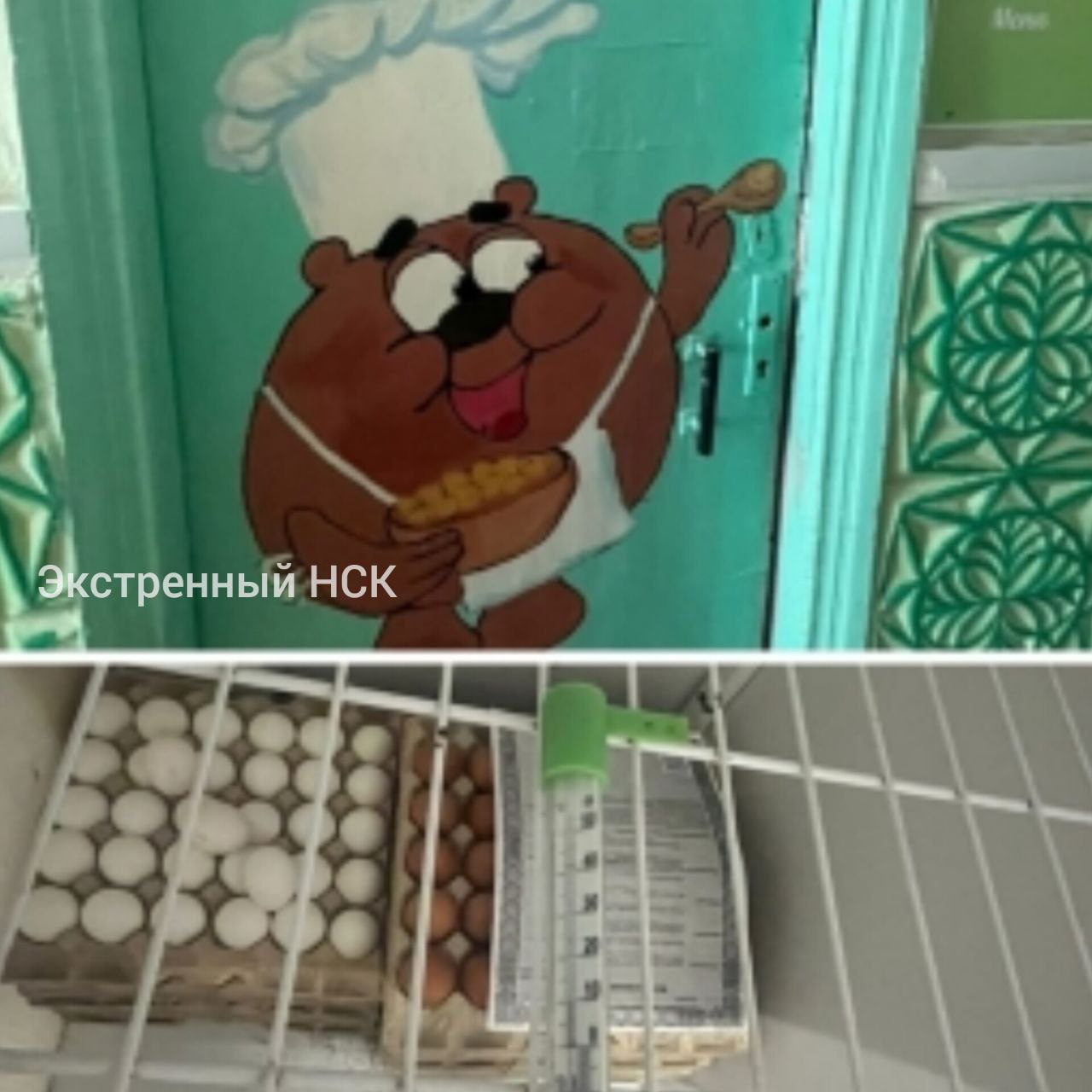Кормила тухлыми яйцами В Новосибирске приговорили работницу детского сада, которая подавала на стол малышам несвежие продукты. В марте 24-го четверо воспитанников дошкольного учреждения №95 "Степашка" угодили на больничную койку. Недомогание почувствовала и воспитательница этой группы. Следователи комитета назначили необходимые проверки и экспертизы, которые показали грубые нарушения санитарных норм, правил хранения и учета продуктов. Ленинский районный суд назначил виновной наказание в виде лишения свободы на полтора года условно. Фото СУ СКР НСО