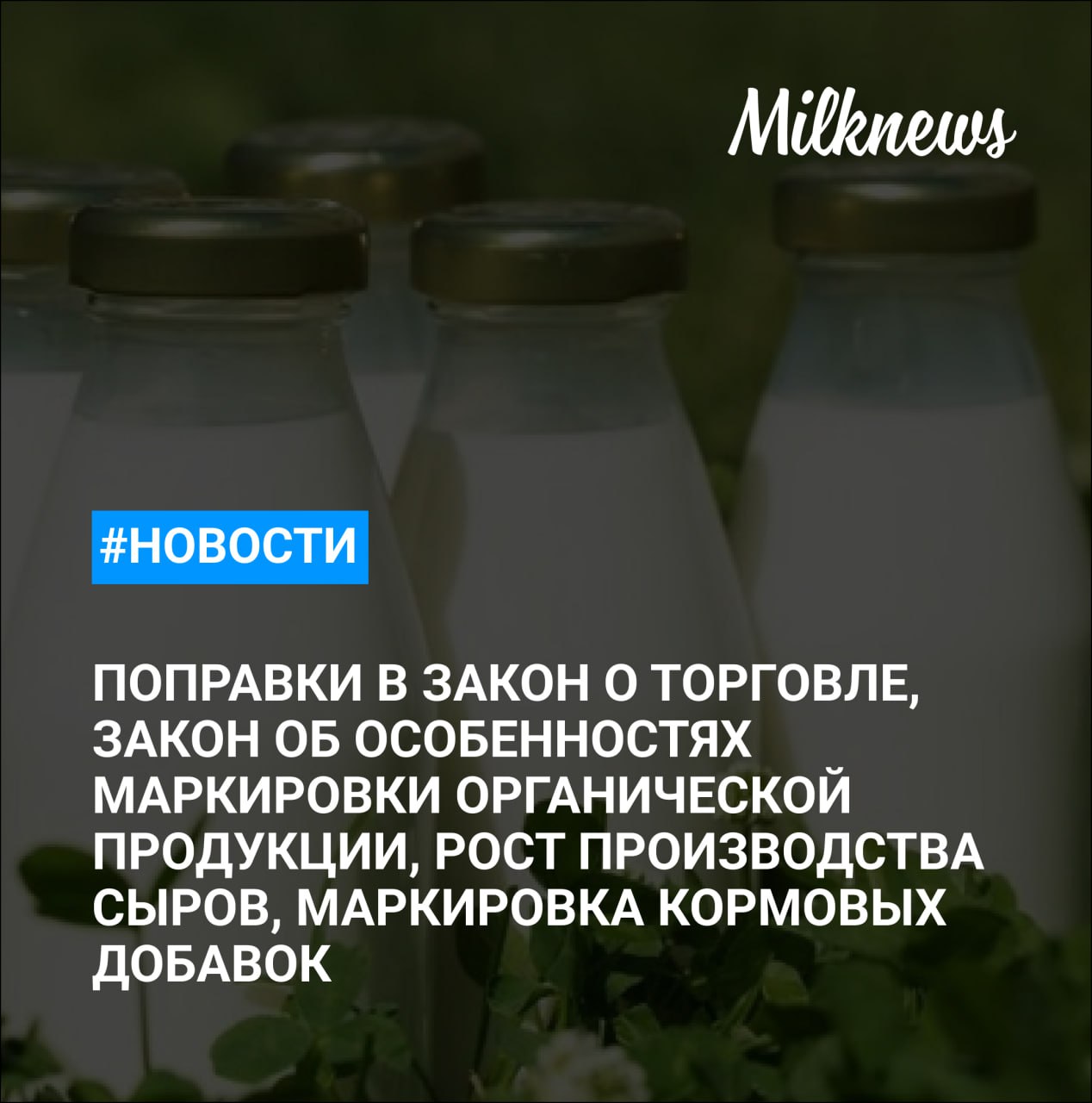 1 2 3 Союзмолоко: поправки в закон о торговле не исключают согласование заказов в одностороннем порядке 1 2 3 Союзмолоко: принятие закона об особенностях маркировки органической продукции сэкономит отрасли до 30 млрд руб. Агрокомплекс Ткачева увеличил производство сыров на 27% в I квартале 2025 года Россельхознадзор предлагает маркировать кормовые добавки и фармсубстанции На Вадима Мошковича и его партнера кредиторами поданы 16 заявлений