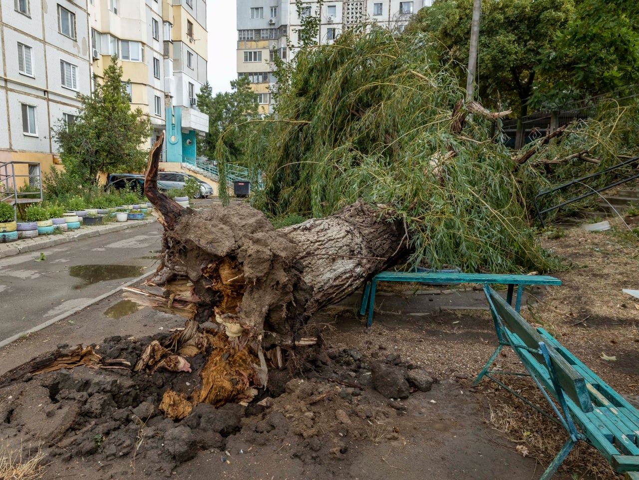 Еще последствия сегодняшней непогоды в столице. Сильный ветер вырвал деревья с корнем.