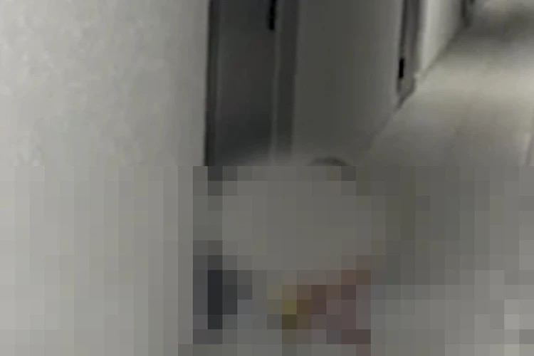 Трехлетняя девочка несколько дней жила одна в квартире в Краснодаре. Мать оставляла ей банку пюре и уходила — якобы в поля.  Жильцы многоэтажки на улице Летчика Позднякова забили тревогу: из квартиры постоянно доносился детский плач. Девочка в одних трусиках сидела у двери с банкой фруктового пюре. Взрослых рядом не было.  Когда приехали полиция и опека, выяснилось: трехлетняя малышка действительно жила одна. В квартире — только кровать и бардак. Мать появлялась лишь на пару часов, а остальное время, по её словам, «работала в полях».  Ребенка забрали в инфекционку. Сейчас с ней всё в порядке. А действиям матери даст оценку полиция.