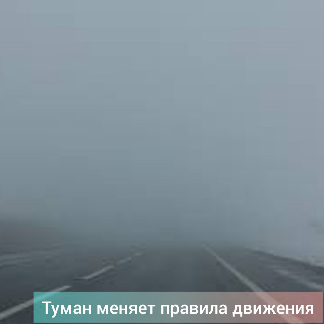 В утренние часы на территории региона ввиду густого тумана отмечается недостаточная видимость на дорогах, сообщает жителям Приамурья Госавтоинспекция. В это время существенно увеличивается вероятность аварийных ситуаций, поэтому надо тщательно взвесить все за и против, перед тем как отправиться в поездку. ГАИ призывает к неукоснительному соблюдении дорожных правил! Выбирайте безопасные скоростной режим и дистанцию! Не подвергайте опасности себя и окружающих! Фото Госавтоинспекции. #ЗейскийВестник